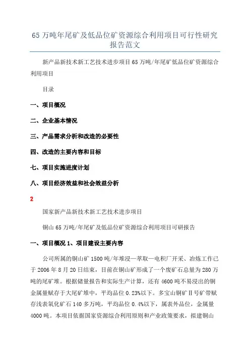 65万吨年尾矿及低品位矿资源综合利用项目可行性研究报告范文