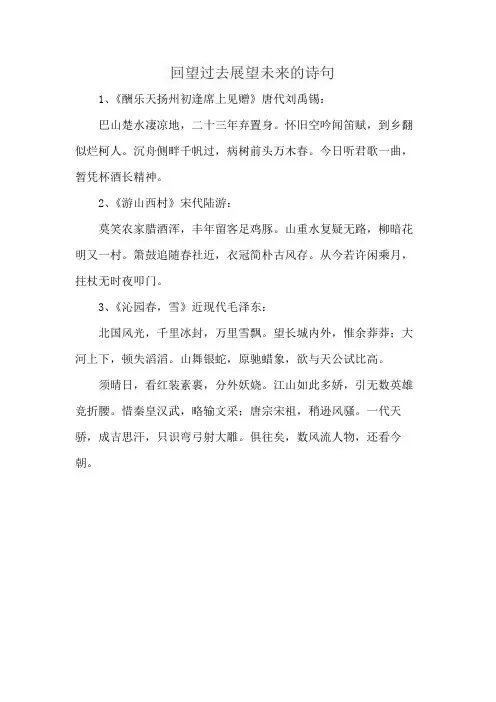 回望过去展望未来的诗句