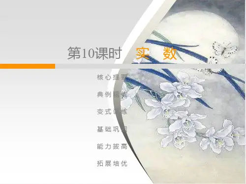 北师大版八年级数学上册课件：2.6实 数(共30张PPT)