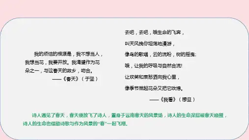 《我看》ppt课件