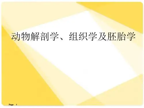 动物解剖学、组织学及胚胎学 ppt课件