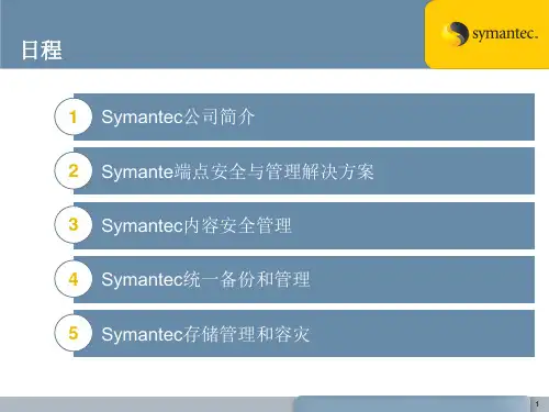Symantec产品和解决方案概述