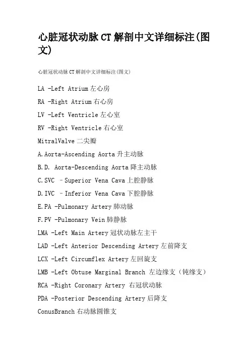 心脏冠状动脉CT解剖中文详细标注(图文)