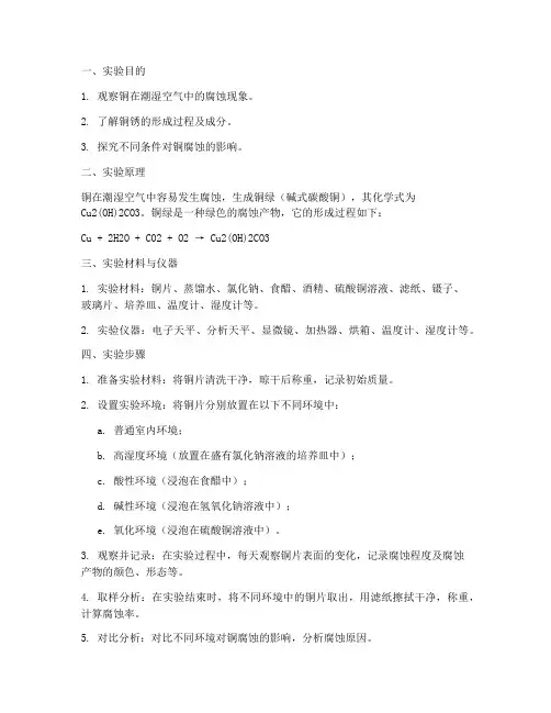 铜的生锈实验报告