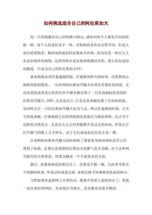 如何挑选适合自己的阿拉斯加犬