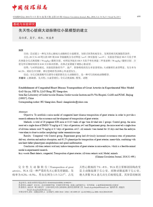 先天性心脏病大动脉转位小鼠模型的建立