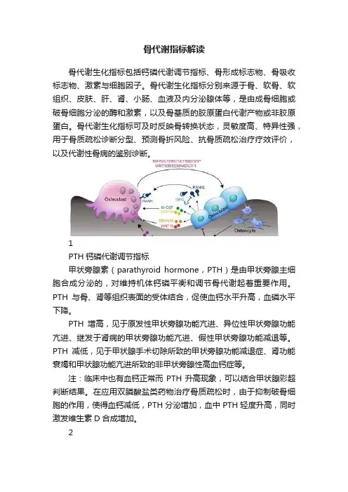骨代谢指标解读