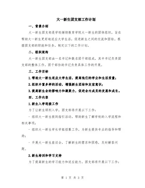 大一新生团支部工作计划