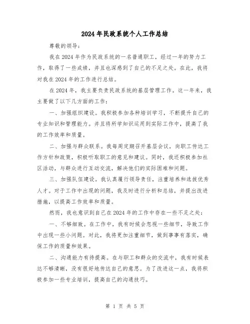 2024年民政系统个人工作总结(二篇)