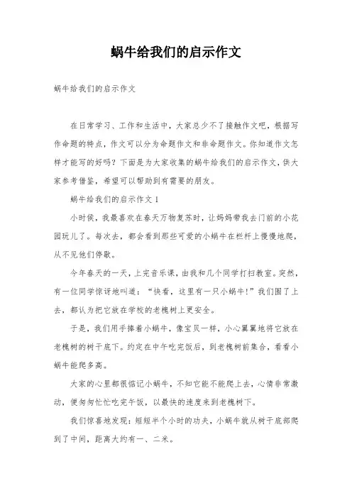 蜗牛给我们的启示作文