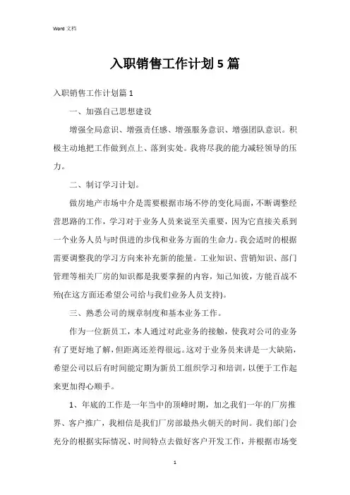 入职销售工作计划5篇