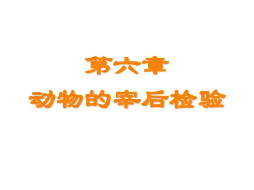 第六章宰后检验ppt课件