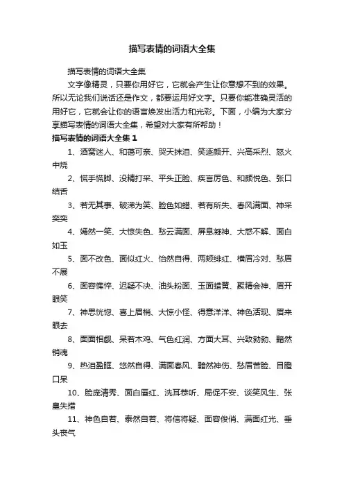 描写表情的词语大全集