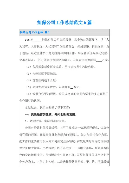 担保公司工作总结范文5篇