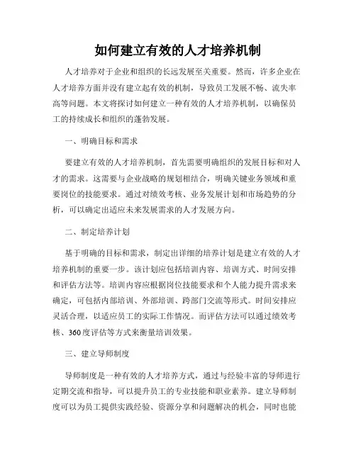 如何建立有效的人才培养机制