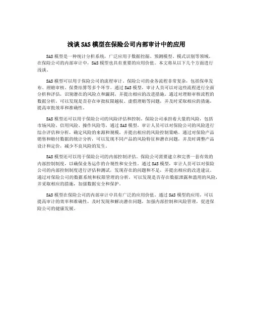 浅谈SAS模型在保险公司内部审计中的应用