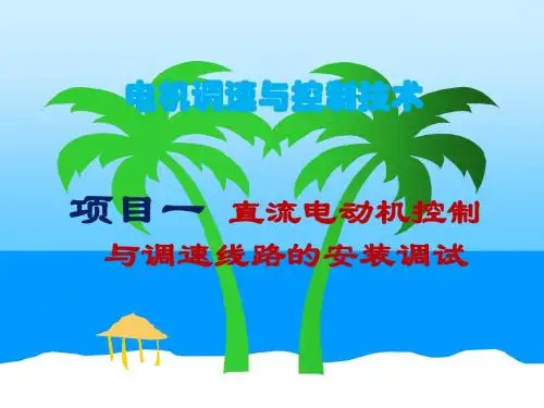 电机控制与调速技术项目训练教-项目一直流电机的调速与控制线路装接