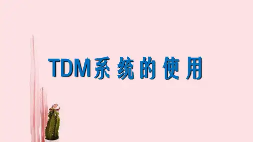 TDM系统管理及使用