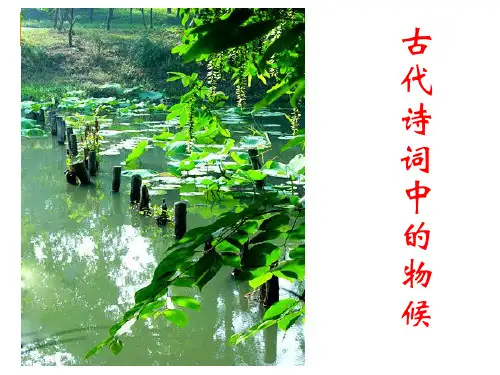 九年级语文上册《物候诗四首》