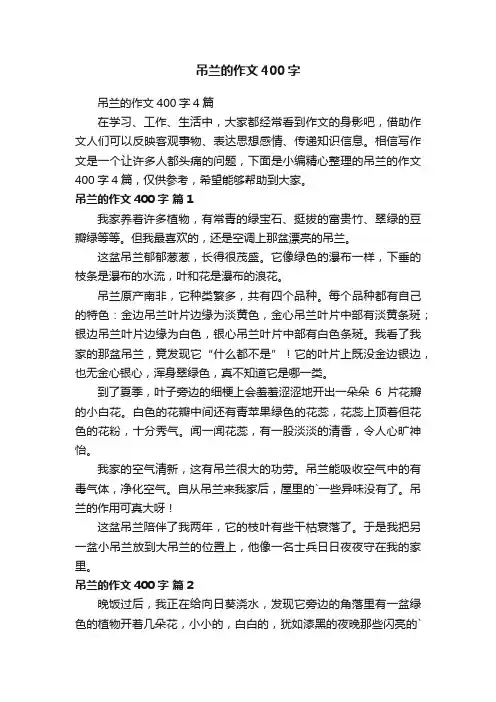 吊兰的作文400字4篇