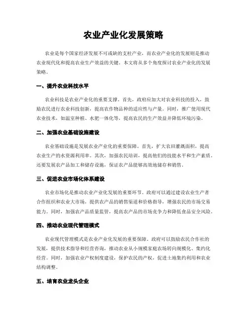 农业产业化发展策略