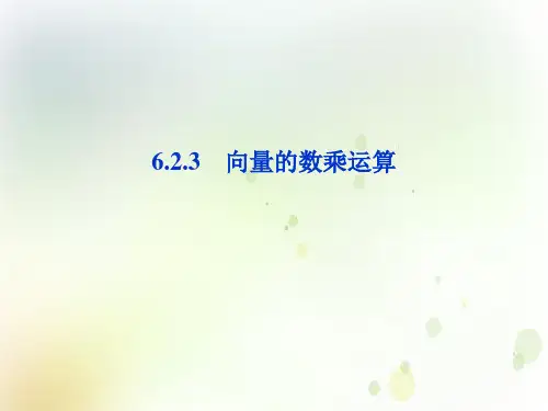 人教版课件《平面向量的运算》精品课件PPT1