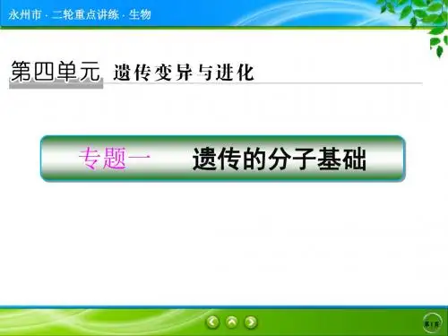 (龙小波)第4单元 专题1 遗传的分子基础