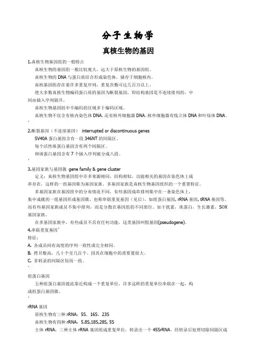 分子生物学课堂笔记