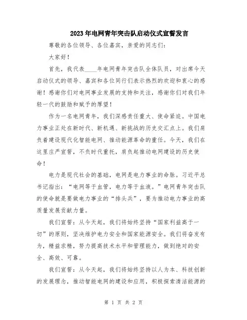2023年电网青年突击队启动仪式宣誓发言