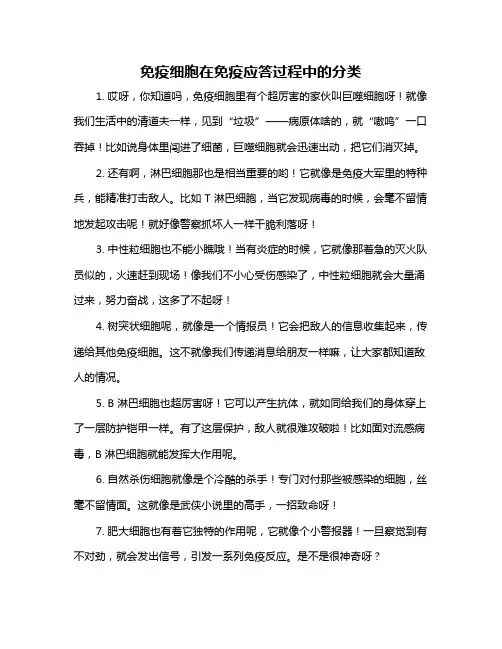 免疫细胞在免疫应答过程中的分类