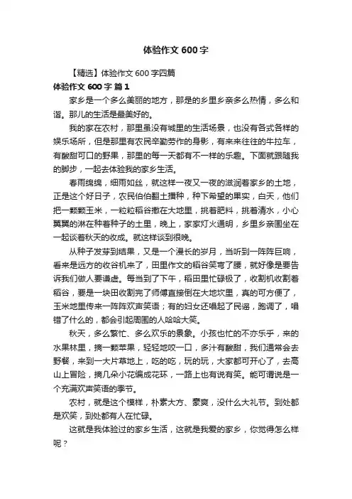 【精选】体验作文600字四篇