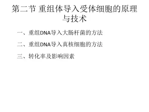 第二节重组体导入受体细胞的原理与技术-Xidian