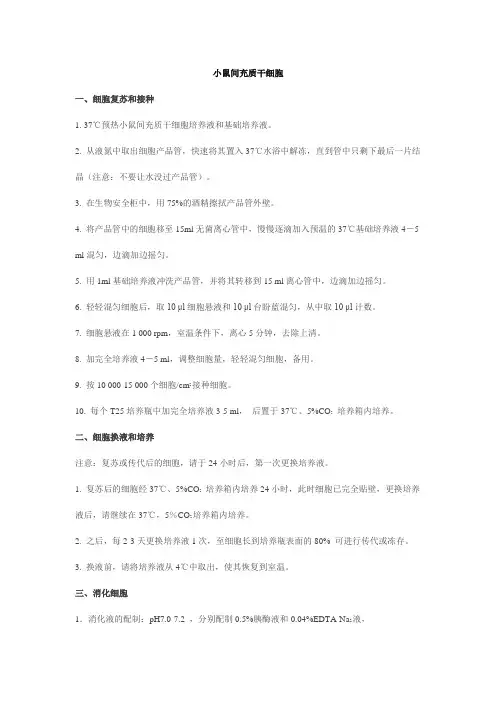 小鼠间充质干细胞分离培养与纯化