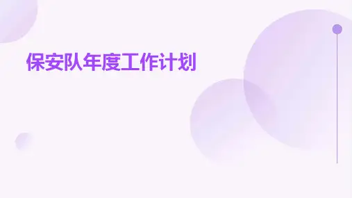 保安队年度工作计划PPT