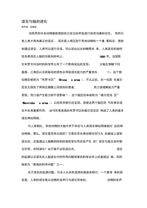 语言与大脑进化