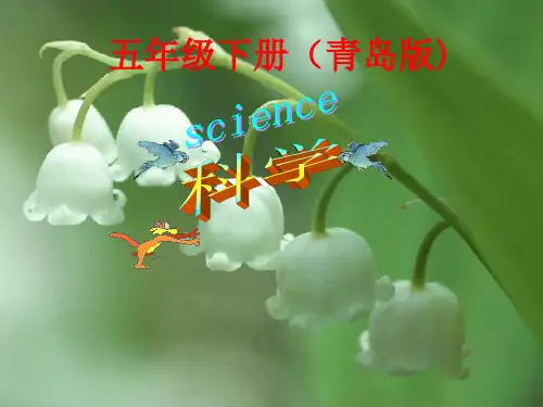 新课标青岛版小学科学五年级下册教材分析