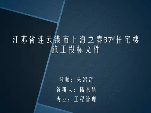 投标文件答辩ppt