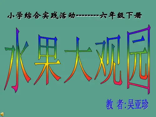 小学综合实践六年级下册ppt课件