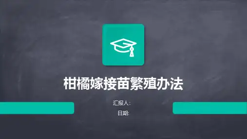 柑橘嫁接苗繁殖办法