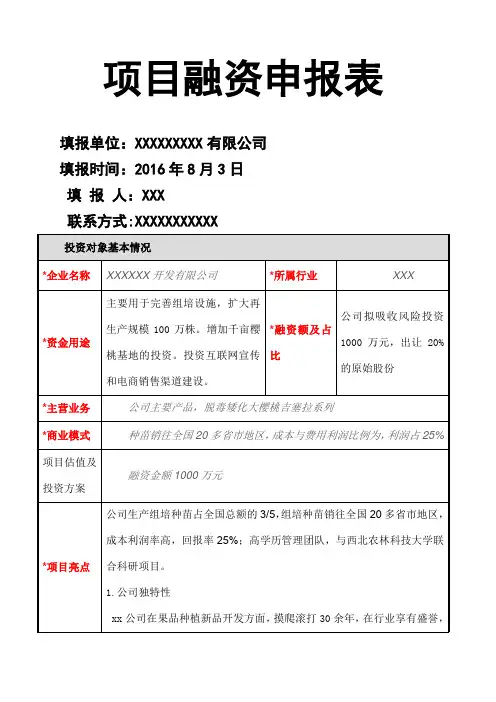项目融资申请表填写标准版模板