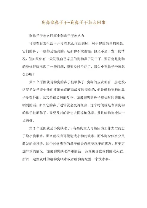 狗鼻塞鼻子干-狗鼻子干怎么回事