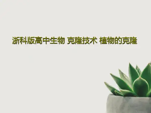 浙科版高中生物 克隆技术 植物的克隆共29页PPT