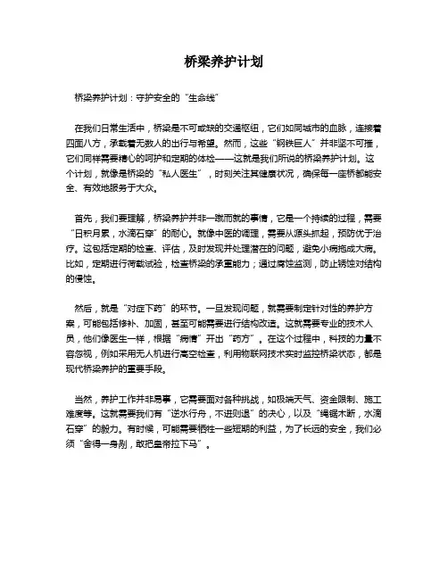 桥梁养护计划