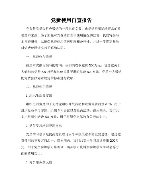 党费使用自查报告