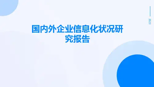 国内外企业信息化状况研究报告