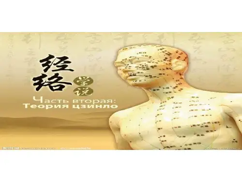 中医经络与穴位PPT课件