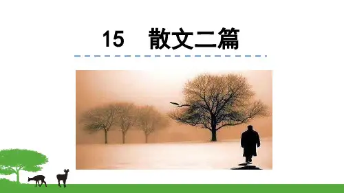 16、《散文二篇》