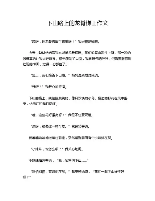 下山路上的龙脊梯田作文
