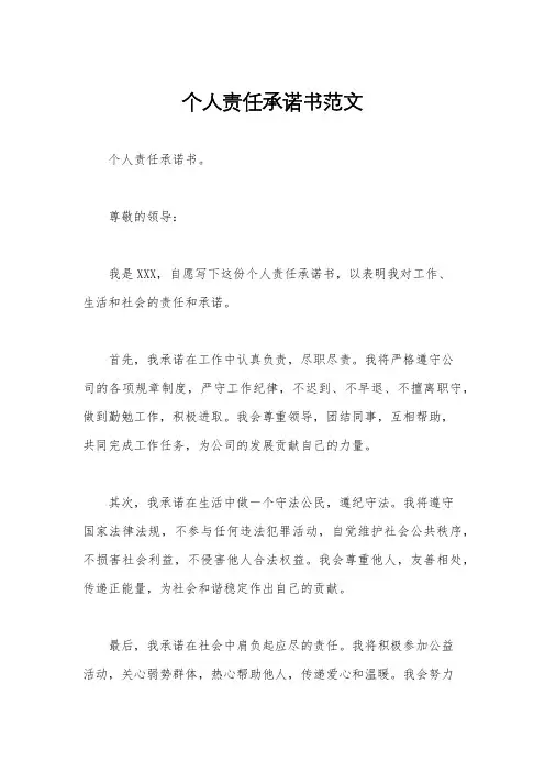 个人责任承诺书范文