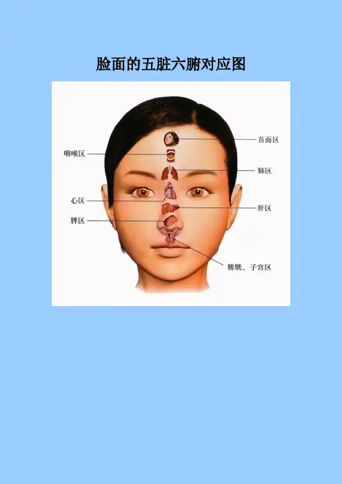 脸部与五脏.